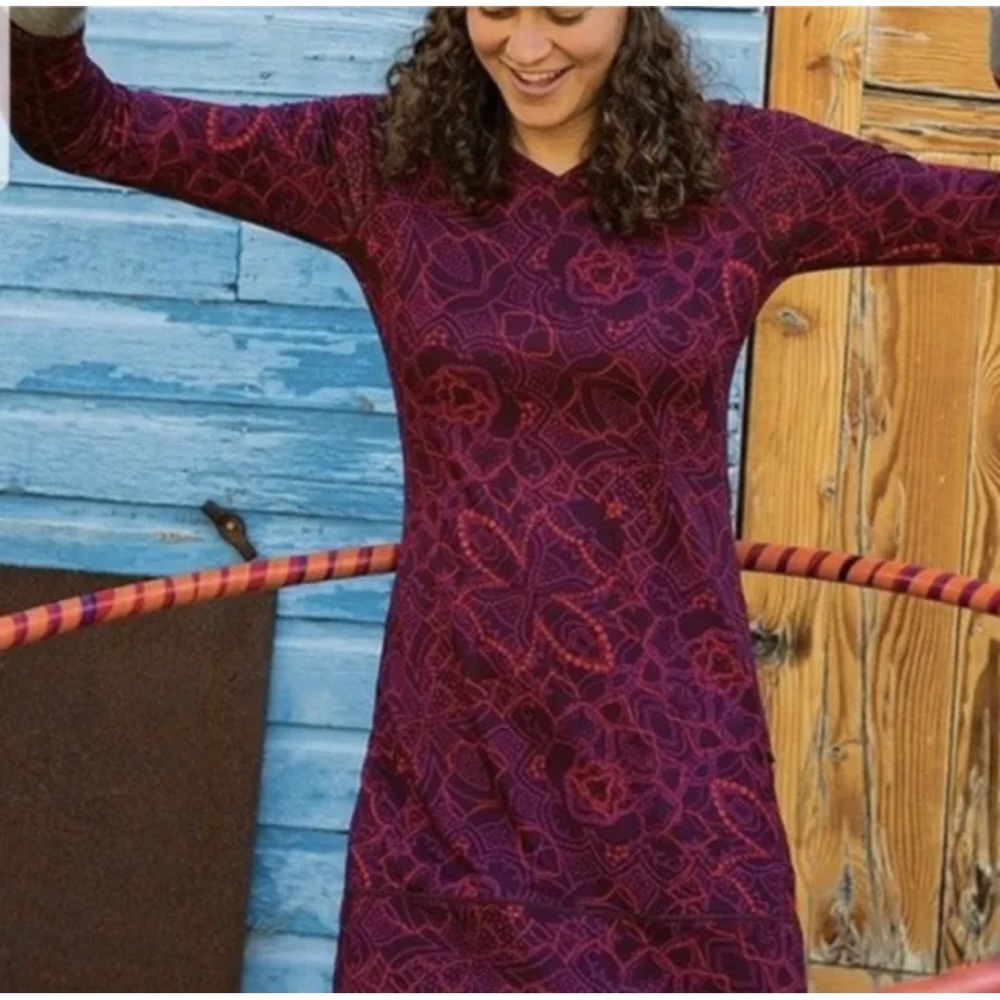 Title Nine Mercury Hooded Dress